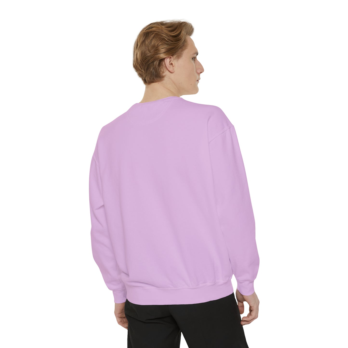 Drake Fairy Sweatshirt